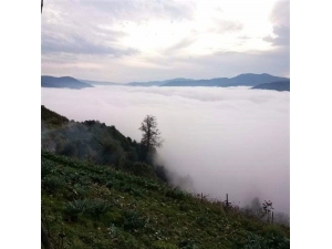 Sis Bulutlarının Kartpostallık Görüntüleri