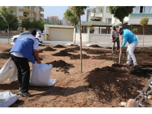 Haliliye’de Parklara Çim Ekimi Yapılıyor