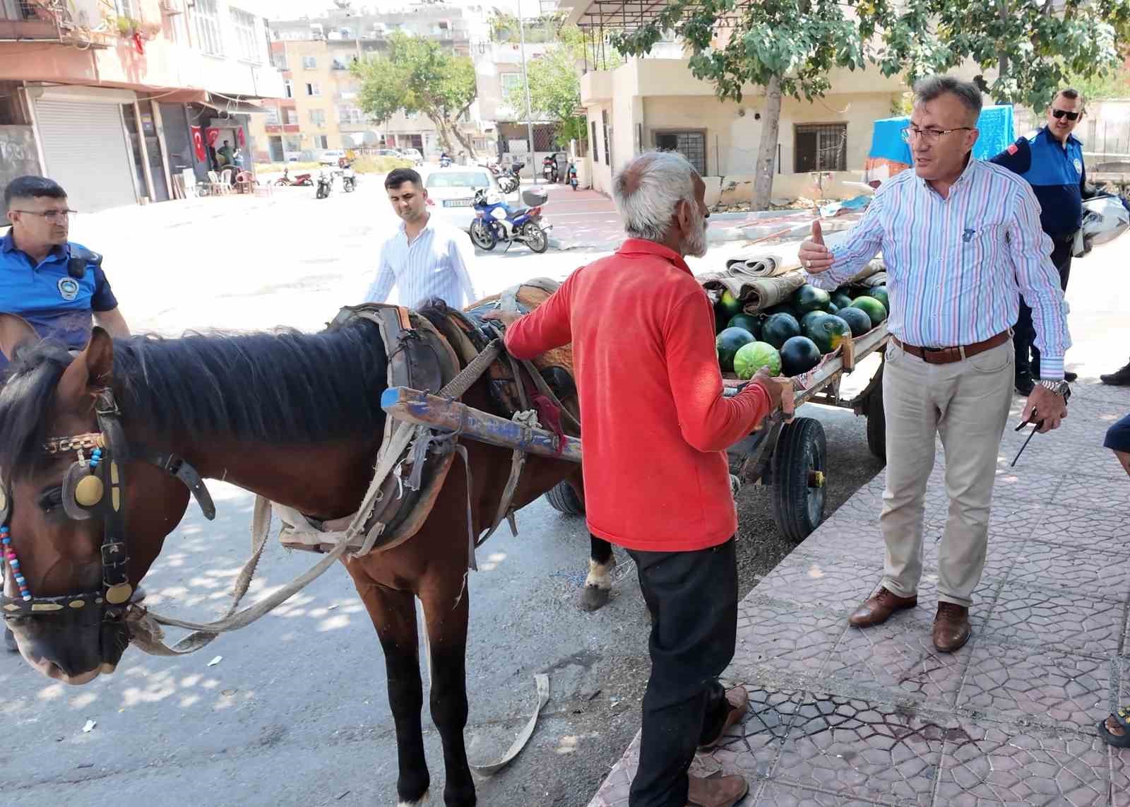 mersin-de-bitkin-dusen-at-yeni-yuvasina-kavustu