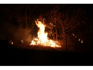 Sivas’ta Otluk Alanda Yangın