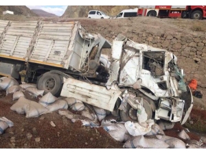 Tır Şarampole Yuvarlandı: 1 Yaralı