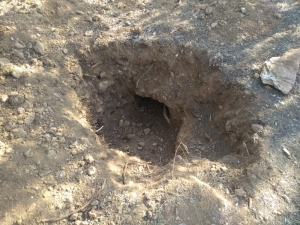 Kaçak Kazılar Mahalleliyi Canından Bezdirdi