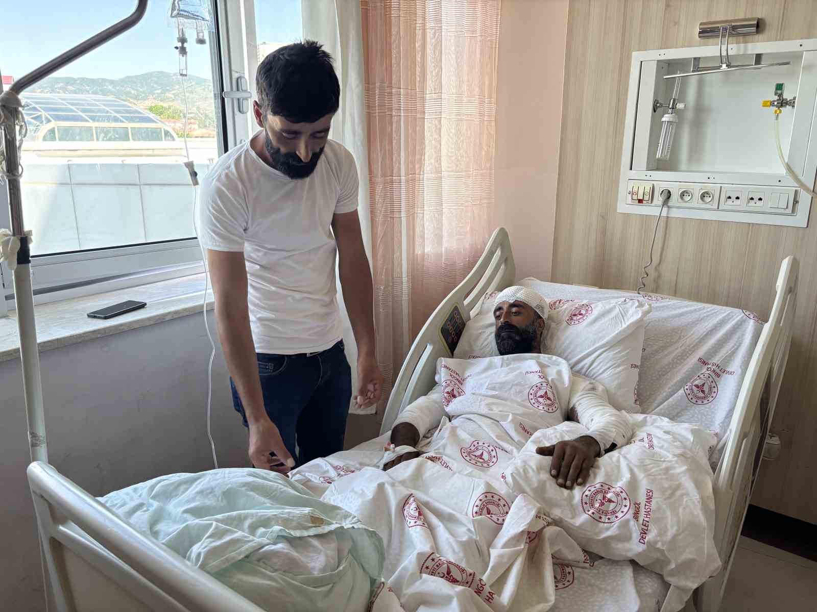 mantar-toplarken-ayi-saldirisina-ugradi-kollariyla-basini-siper-ederek-hayatta-kaldi