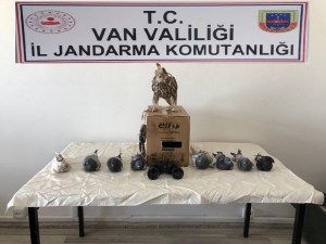 Yırtıcı Kuş Avı Yapan Şahsa 20 Bin 387 Liralık Büyük Ceza