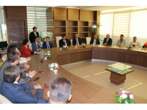 Denetimli Tadilata Teşekkür Belgesi