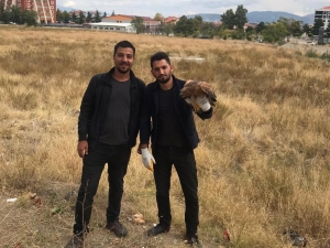Isparta’da Yaralı Halde Bulunan ’Kızıl Şahin’ Doğaya Salındı