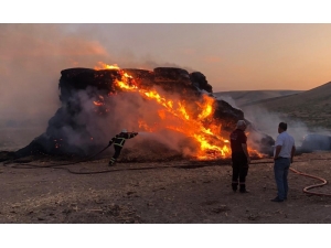 Batman’da 300 Ton Mısır Sapı Balyası Kül Oldu