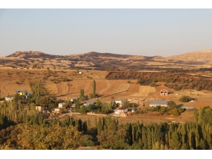 Sivas’ta Ot Yangını