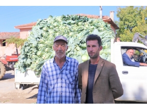 Karnabahar Tarlada 3 Lira, Pazarda 7 Lira