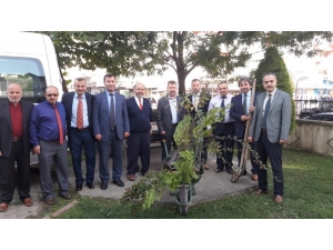 Din Görevlileri Fidan Dikti