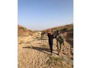 Resulayn’da Teröristler Bir Bir Yakalanıyor