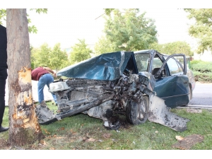 Elazığ’da Otomobil Ağaca Çarptı: 1 Yaralı