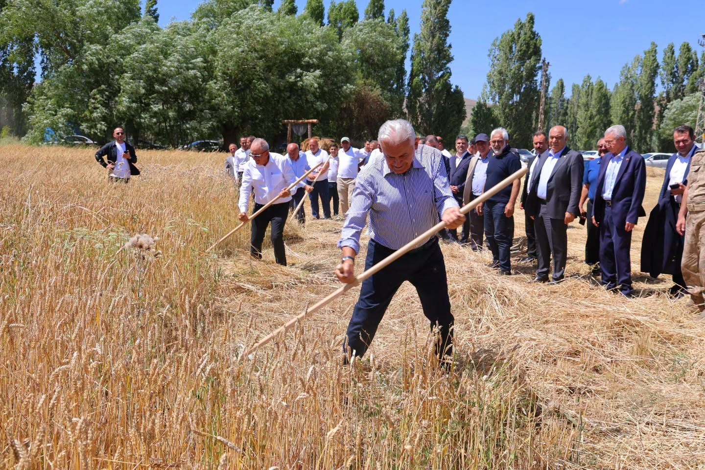 binali-yildirim-harman-senligi-nde-tirpan-salladi