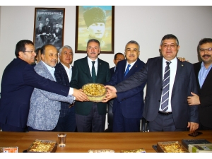 Zor Duruma Düşen İncir Üreticisine Devlet El Uzattı