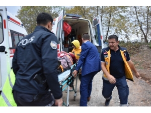 At Arabası Dereye Uçtu: 1’i Ağır 2 Yaralı