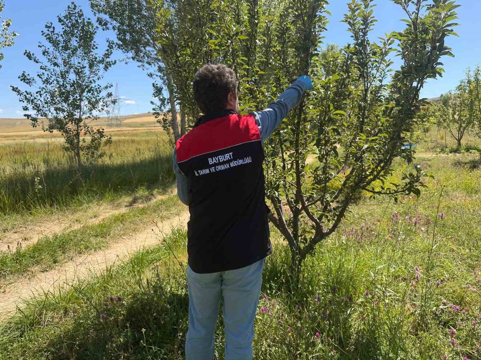 bayburt-ta-hasat-oncesi-pestisit-denetimleri-basladi