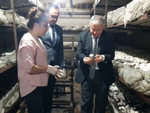 Mantarlarını Aşkla Üretiyorlar