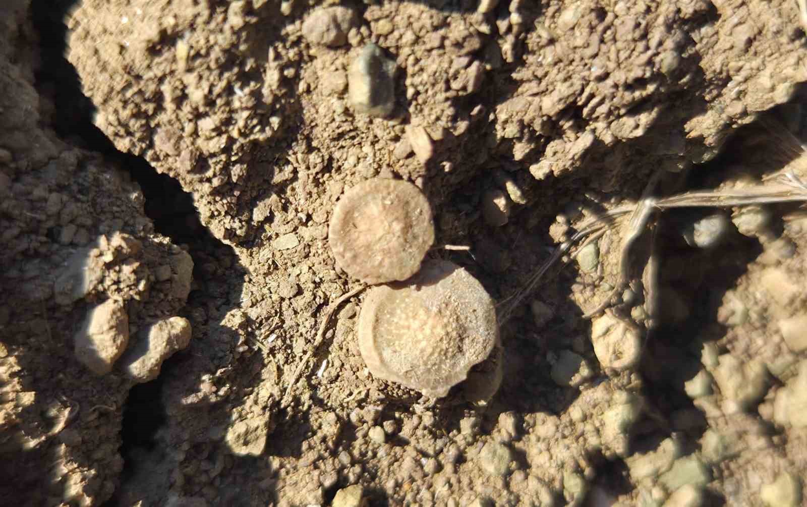 tarladan-bakliyat-degil-fosil-fiskirdi