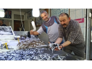 Mustafa Çelebi; “Hamsinin Ömrü Tükeniyor”