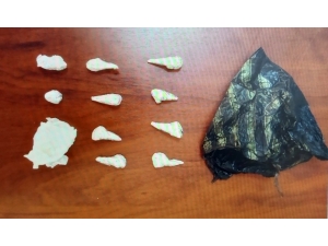 Adana’da Torbacı Operasyonu