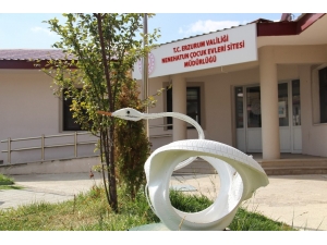 Aşçı Şaban Usta Araba Lastiklerinden Sanat Eseri Yapıyor