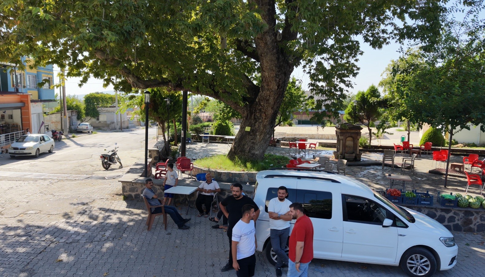 osmaniye-de-260-yillik-cinar-yaz-sicaginda-dogal-klima-oluyor