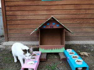 Öğrenciler Mama İstasyonu Kurdu