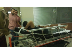 Kestiği Ağaç Üzerine Devrildi