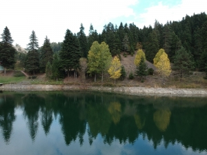 Türkiye’nin En Kuzeyi Sinop’ta Sonbaharın Renk Cümbüşü
