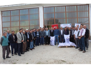 Emet’te Çiftçilere Macar Fiği Tohumu Dağıtıldı