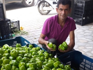 Elektrikli Bisikletten Düştü, Tedaviyi Kabul Etmedi