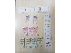 Polisten Kumar Baskını