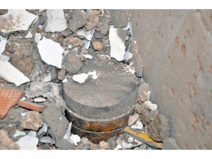 Şoke Eden Davetsiz Misafir