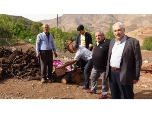 Gercüş’te Şeyh Bube Türbesi’ne Ziyaretçi Akını