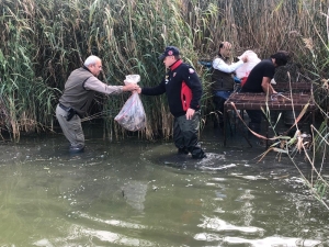 Avlanması Yasak Olan 27 Yeşilbaşlı Ördek Kafeste Bulundu