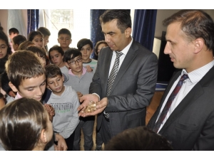 Safran Geleceğe Taşınıyor