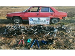 Çaldığı Kablolarla Birlikte Yakalandı