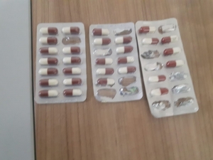 Yunuslar Suçluların Korkulu Rüyası Oldu