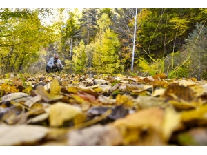 Zigana’da Renk Cümbüşü