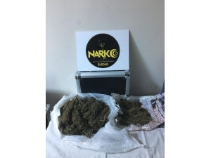 Burdur Jandarmasından Kenevir Operasyonu