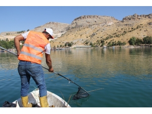 Büyükşehir Fırat Nehri’ni Temizliyor