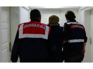 Jandarmadan Propaganda Operasyonu: 6 Gözaltı