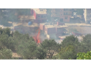 Bitki Örtüsü Yangını Korkuttu