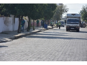 Aşağı Nazilli Köşe Bucak Temizleniyor