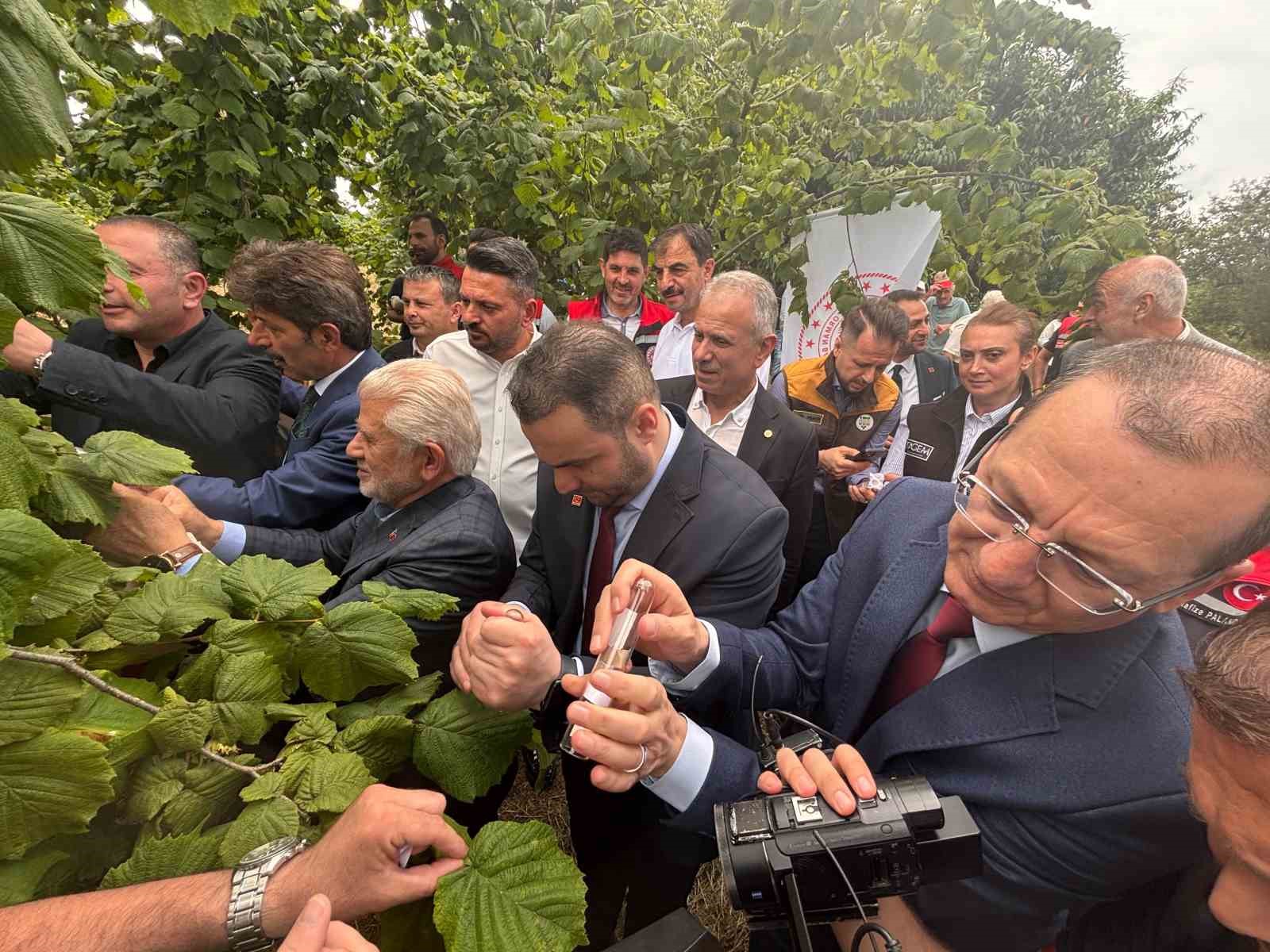 trabzon-da-kahverengi-kokarcaya-karsi-dogal-ordu-goreve-basladi