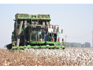 Manisa’da ‘Beyaz Altın’ Hasadı Başladı