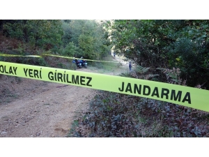 Ömerli Barajı’nda Dehşete Düşüren Cinayet