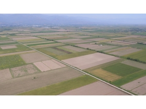 Aydın’da 987 Bin 500 Dekar Tarım Arazisi Sulandı