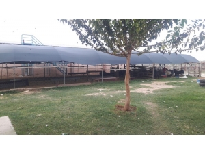 Aydın’dan Gelip Hasmını Tarsus’ta Öldürdü