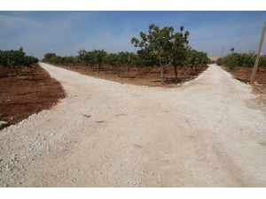 Haliliye Kırsalında Yol Yapım Atağı